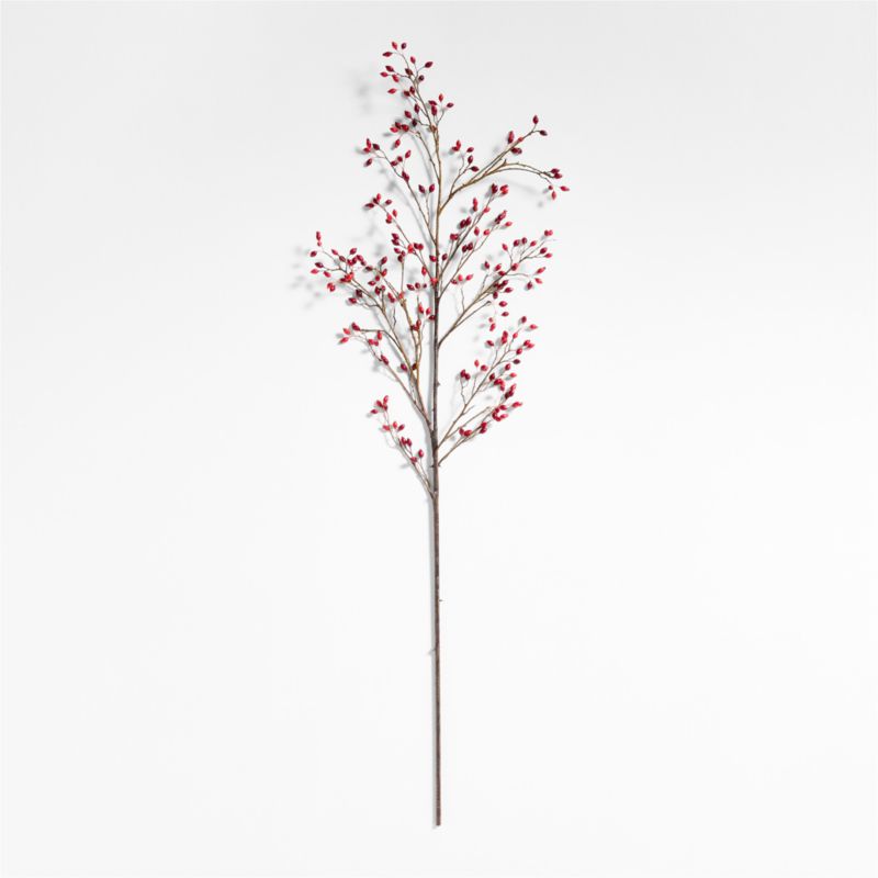 Red Rose Hip Holiday Stem 60" - image 0 of 6