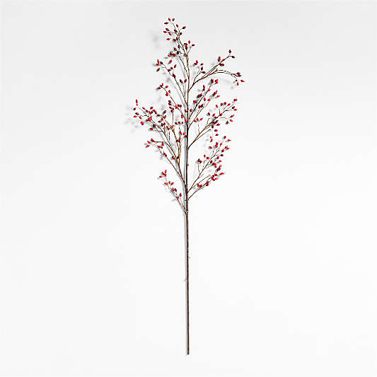 Red Rose Hip Holiday Stem 60"