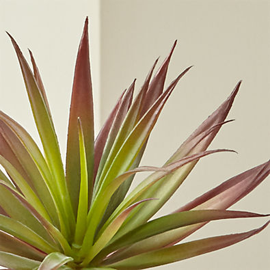 View Faux Red Yucca Succulent Stem details