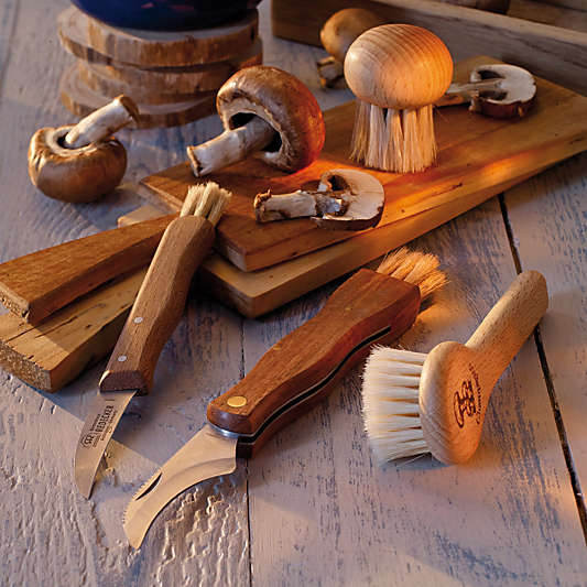 Redecker Beechwood and Bristle Long-Handle Mushroom Brush