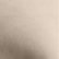 Moonbeam