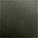 Ficus Green