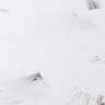 White Marble