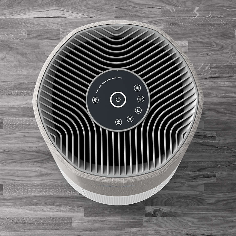 Rowenta sales air cleaner