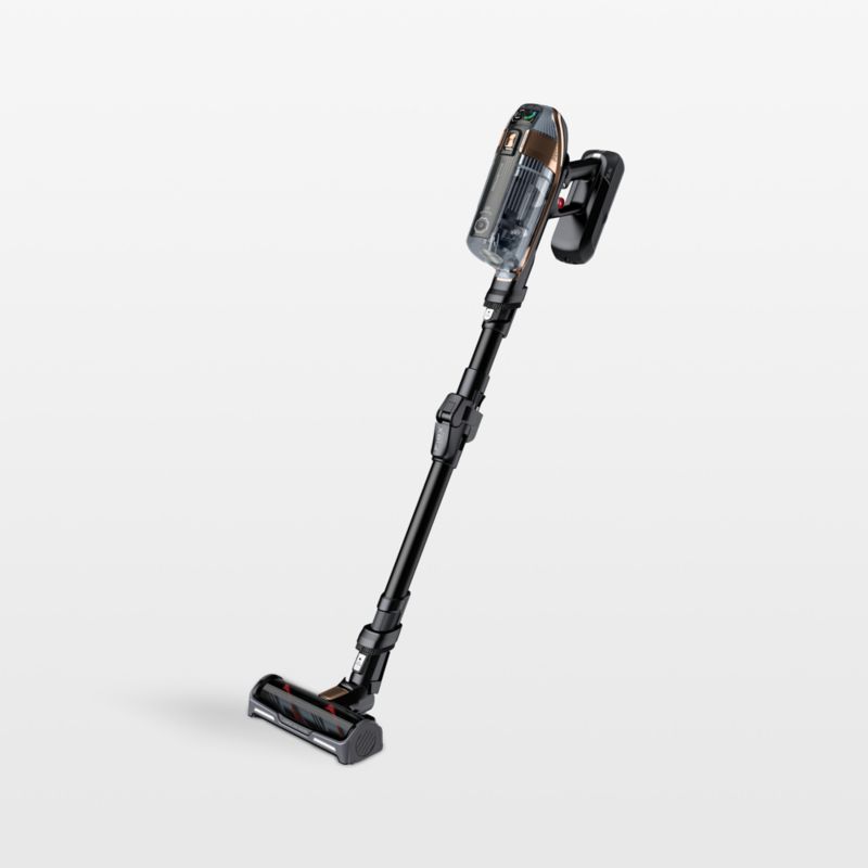 The powerful and versatile Rowenta XForce Flex vacuum cleaner: a revolution  in home cleaning 