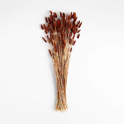 Dried Rust Bunny Tail Bunch