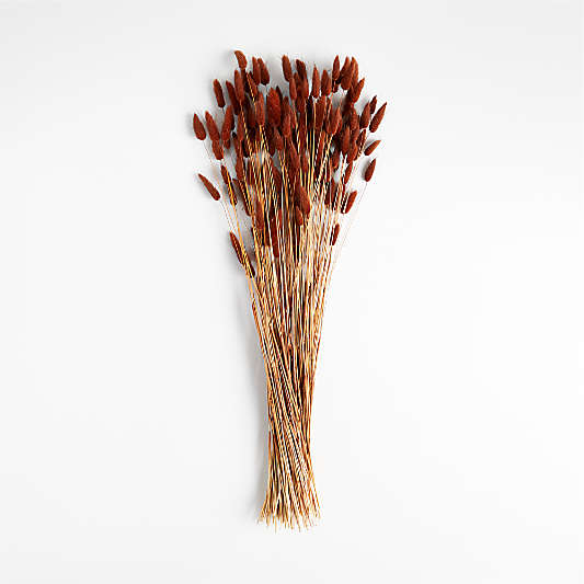 Dried Rust Bunny Tail Bunch