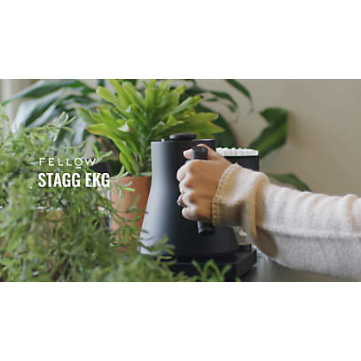 Fellow Stagg EKG Matte Black Electric Pour-Over Tea Kettle + Reviews, Crate & Barrel Canada in 2023