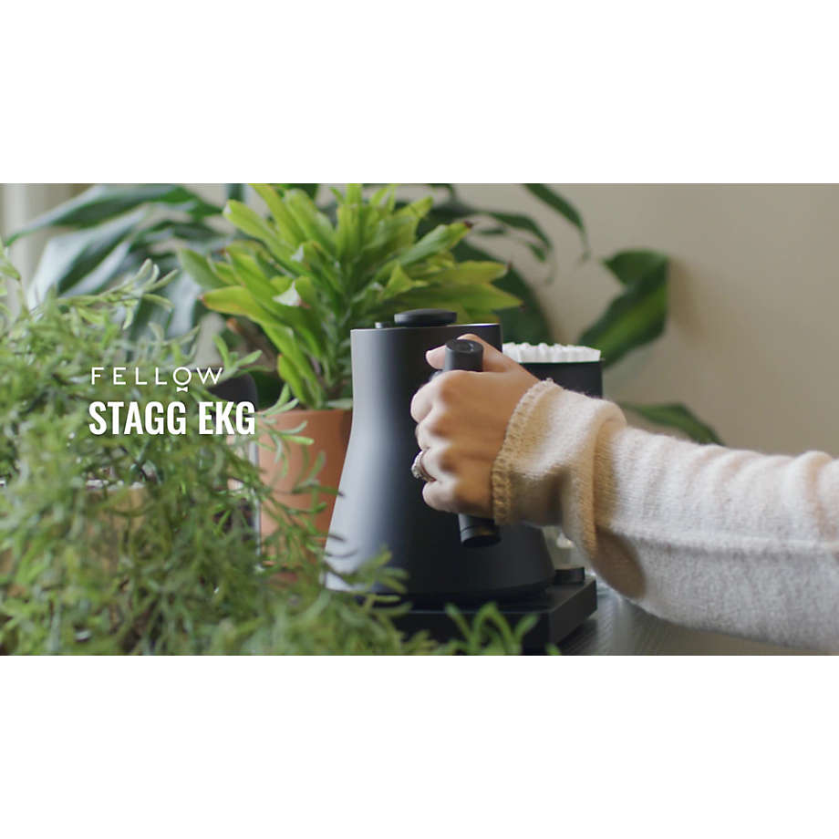 Fellow Stagg EKG Matte White Electric Kettle with Maple Handle + Reviews, Crate & Barrel Canada