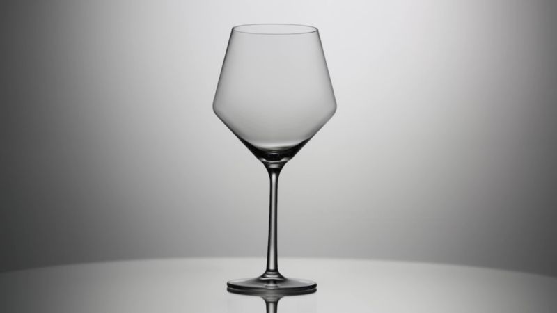 Play Schott Zwiesel Tour 24-Oz. Red Wine Glass - video 1 of 3