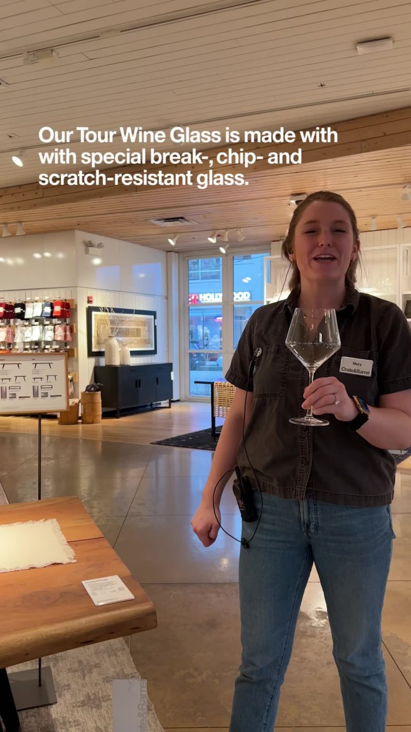 Play Schott Zwiesel Tour 17-Oz. Stemless Red Wine - video 1 of 3