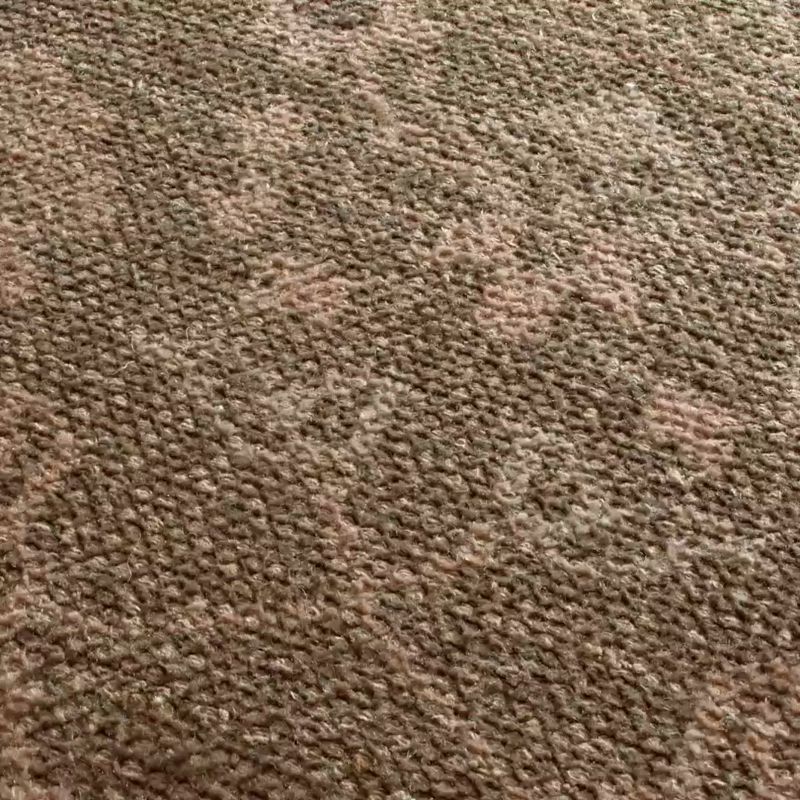 Play Tavira Performance Traditional Green Handknotted Area Rug 6'x9' - video 1 of 1