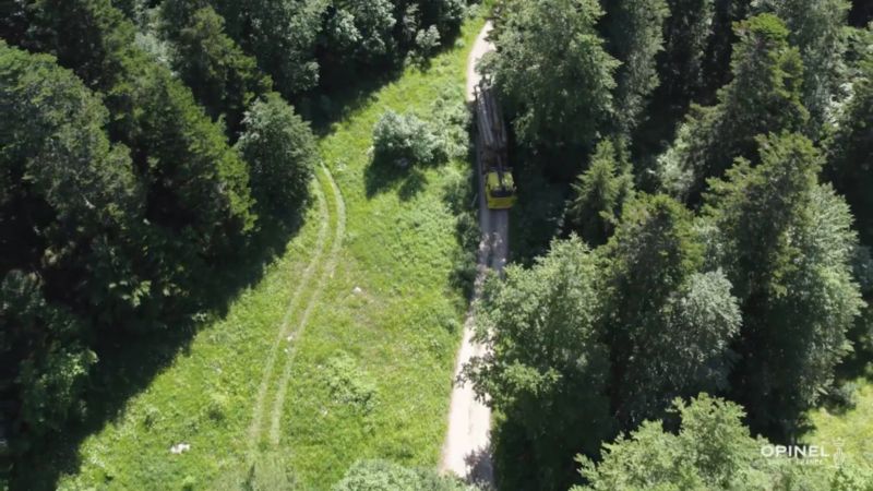 Play Opinel Ashwood Steak Knives, Set of 4 - video 1 of 1