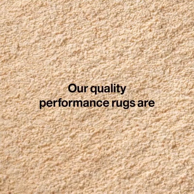 Play Stratton Performance Handwoven Beige Area Rug 6'x9' - video 1 of 1