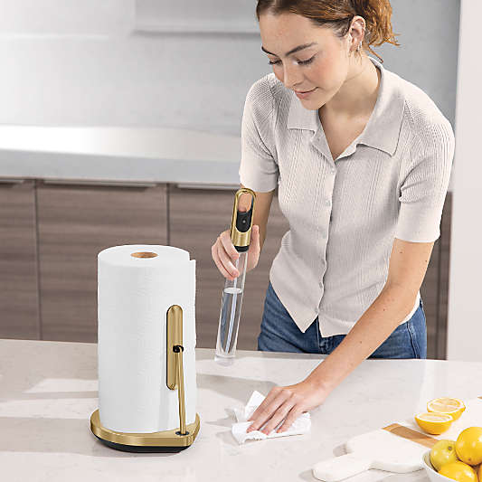 Simplehuman Kitchen Paper Towel Holder with Spray Pump, Brass Steel