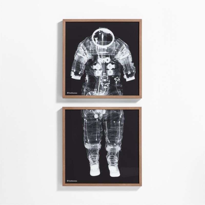 Smithsonian 2-Piece Apollo 14 Pressure Suit Framed Wall Art Print ...