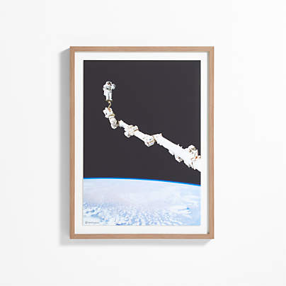 Smithsonian Astronaut in Space Framed Wall Art Print