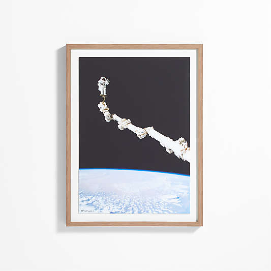 Smithsonian Astronaut in Space Framed Wall Art Print