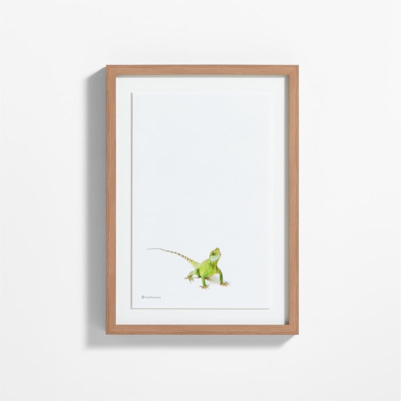 Smithsonian Drago the Asian Water Dragon Framed Wall Art Print - image 0 of 5