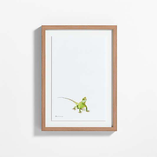 Smithsonian Drago the Asian Water Dragon Framed Wall Art Print