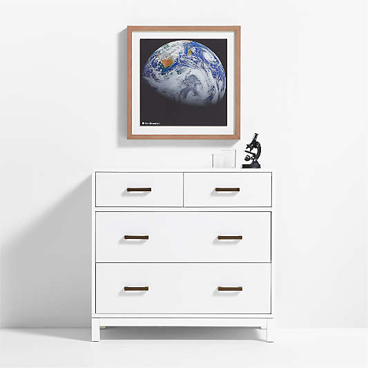 Smithsonian Earth Framed Wall Art Print