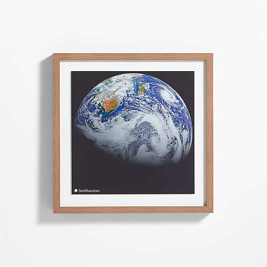 Smithsonian Earth Framed Wall Art Print