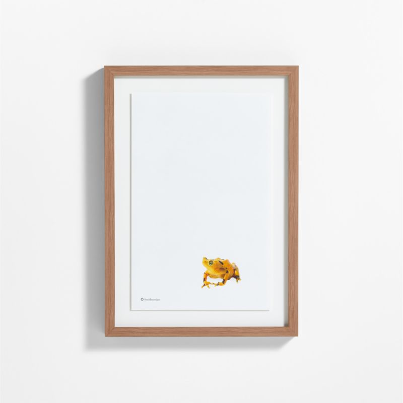 Smithsonian Panamanian Golden Frog Framed Wall Art Print - image 0 of 5