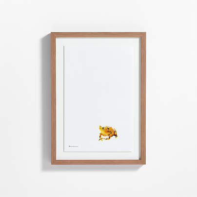 Smithsonian Panamanian Golden Frog Framed Wall Art Print