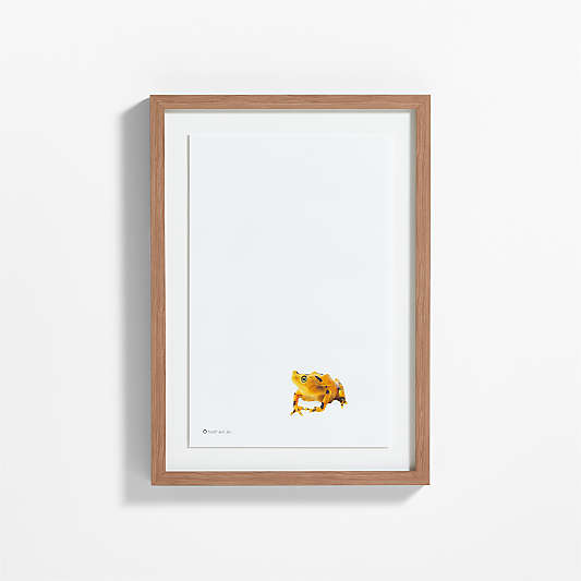 Smithsonian Panamanian Golden Frog Framed Wall Art Print