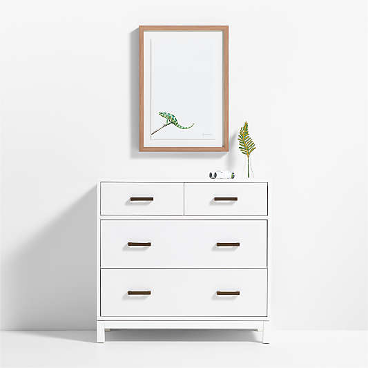 Smithsonian Meller's Chameleon Framed Wall Art Print