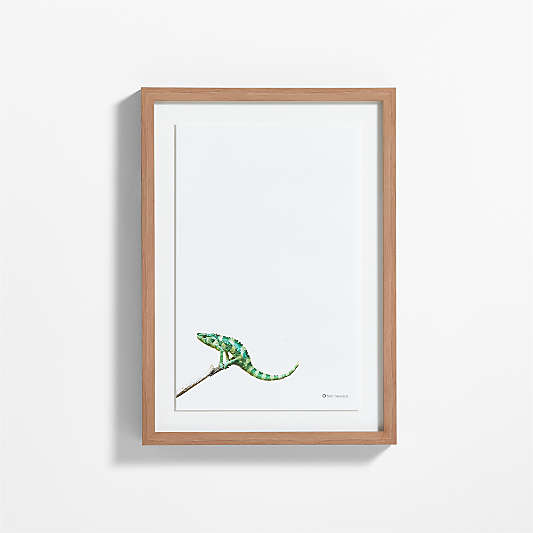 Smithsonian Meller's Chameleon Framed Wall Art Print