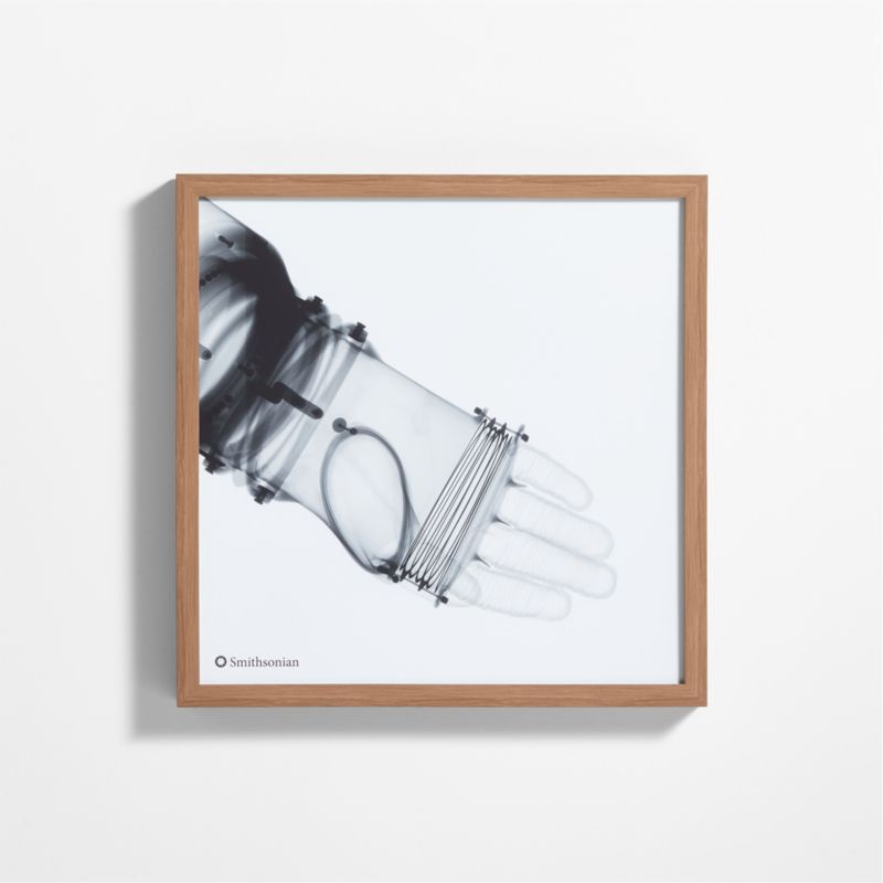 Smithsonian RX-1 Arm Framed Wall Art Print - image 0 of 6