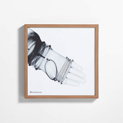 Smithsonian RX-1 Arm Framed Wall Art Print