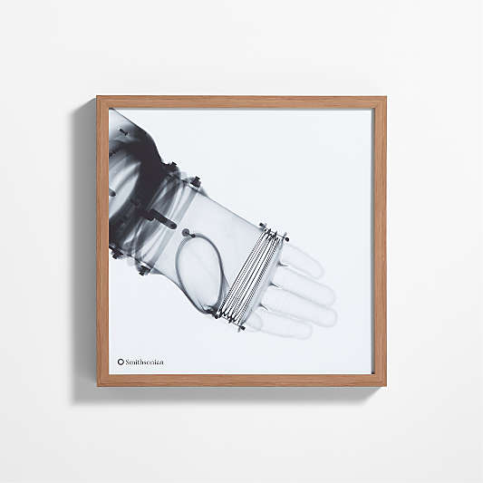 Smithsonian RX-1 Arm Framed Wall Art Print