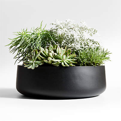 Saabira 18" x 5.75" Black Indoor/Outdoor Tabletop Planter