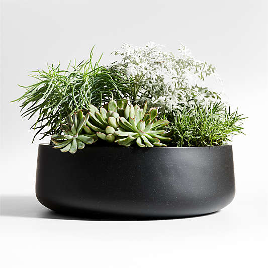 Black Plant Pots, Plant Stands & Black Planters | Crate & Barrel