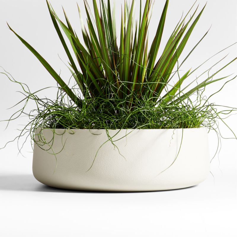 Saabira Taupe Indoor/Outdoor Tabletop Planter