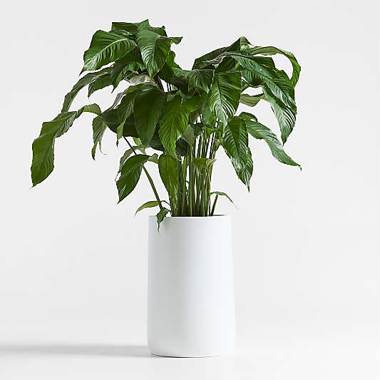 Saabira White 23.25" Tall Indoor/Outdoor Planter