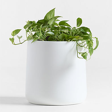 View Saabira White 15.5" Tall Indoor/Outdoor Planter details