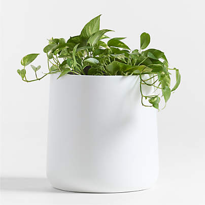 Saabira White 15.5" Tall Indoor/Outdoor Planter