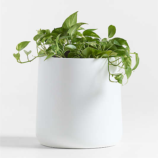 Saabira White 15.5" Tall Indoor/Outdoor Planter