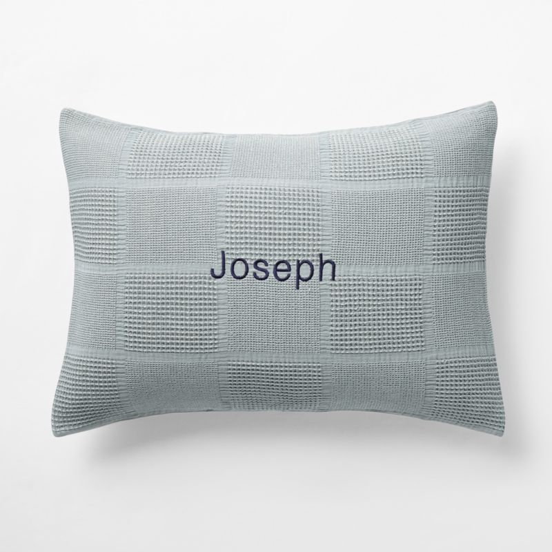 Scoop Mist Blue Checkered Organic Cotton Kids Pillow Sham - image 1 of 5