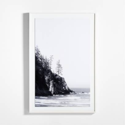 Black and deals white framed print