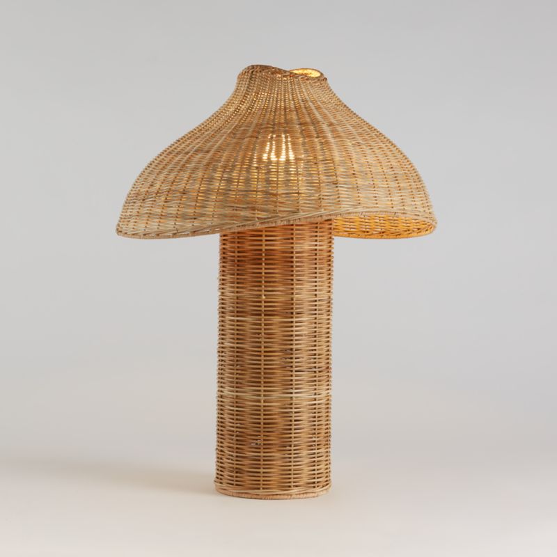 Seta Wicker Table Lamp - image 6 of 12