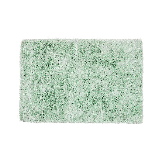 Mint 4 x 6' Shag Rug