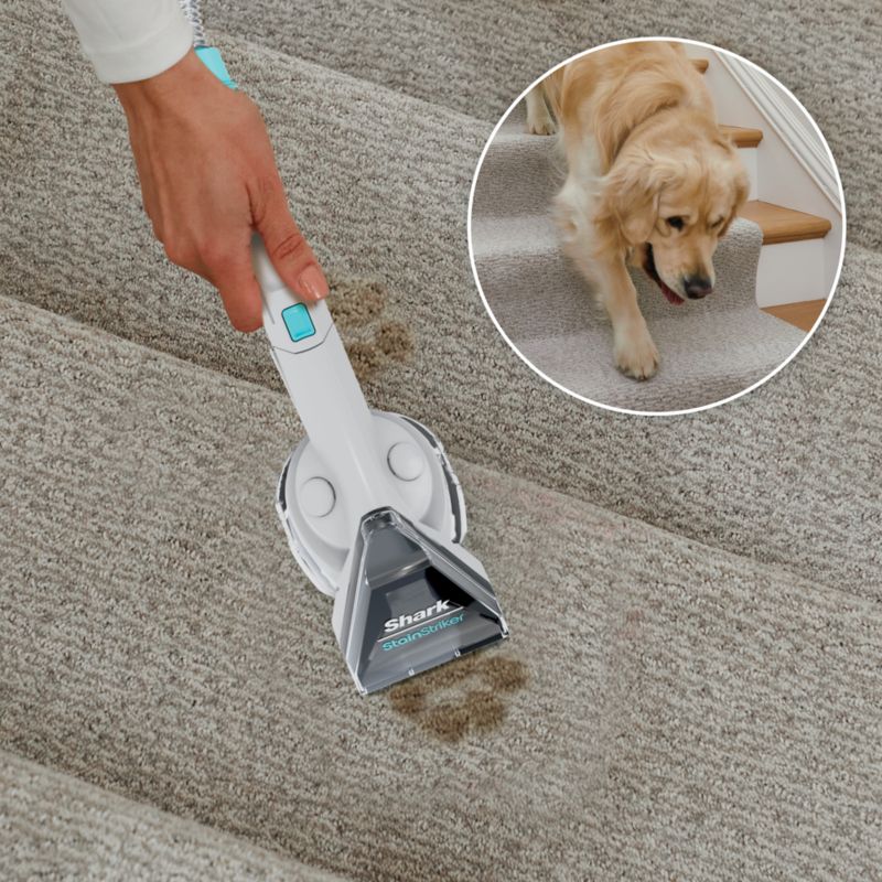 Shark® CarpetXpert™ with Stainstriker™ Upright Deep Carpet Cleaner - image 1 of 4