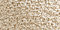 Arctic Ivory