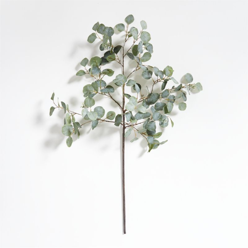 Faux Silver Dollar Eucalyptus Tree 6'