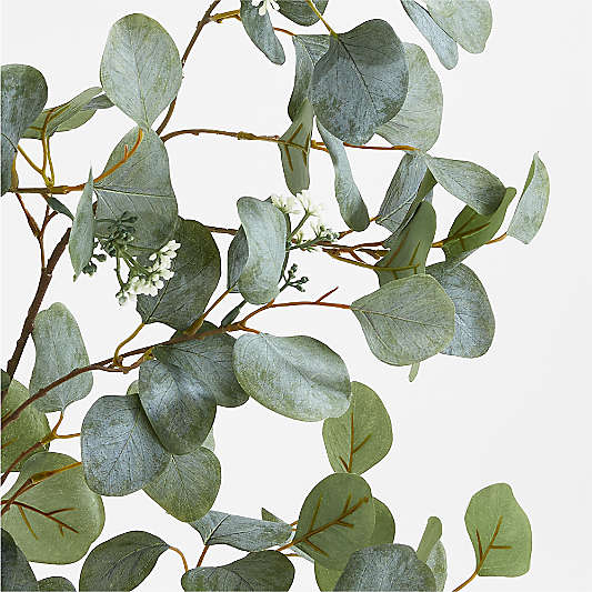 Faux Silver Dollar Eucalyptus Tree 8'