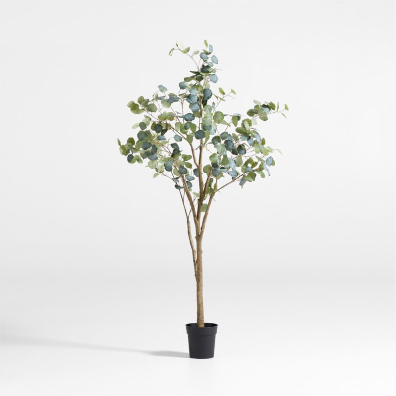 Faux Silver Dollar Eucalyptus Tree 6'